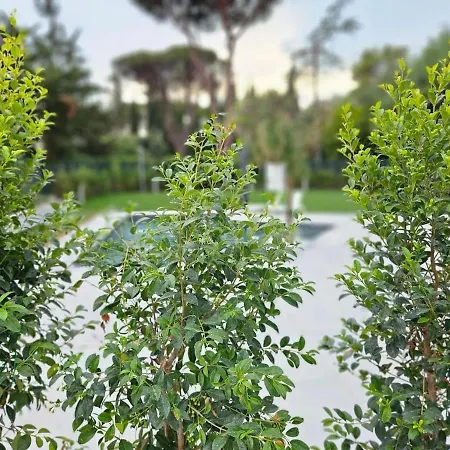 فيلة Isabel Con Piscina Moderna E Area Benessere